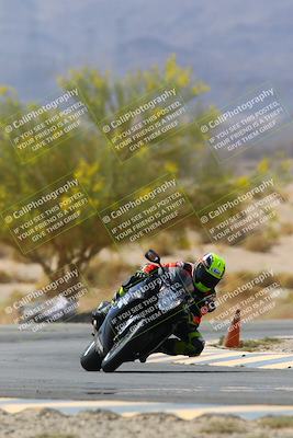 media/Apr-10-2022-SoCal Trackdays (Sun) [[f104b12566]]/Turn 5 Tree of Life (1040am)/